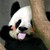 :iconhenzsantoso: