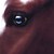 :iconhepheastion: