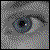 :iconheptagon: