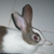 :iconherbud: