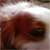 :iconhereinthebubble: