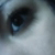 :iconhereistadashi: