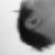 :iconHerEvidence: