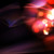 :iconhermidas: