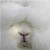 :iconhermithole: