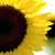 :iconhero-14: