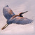:iconheron922: