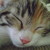 :iconherooftheworld93: