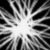 :iconherportrait: