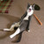 :iconhersheythecat: