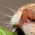 :iconhes-all-i-dream: