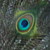 :iconhessaspark: