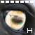 :iconhestur: