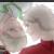 hetalia-rpgyaoi :iconhetalia-rpgyaoi: