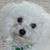 :iconhetaliachichadee: