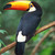 :iconhetaliaegypt: