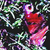 :iconhetookit:
