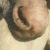 :iconhetti-photograph: