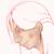 :iconhexgoblinfly: