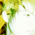 :iconhexodusparadox: