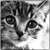 :iconhey-apathy: