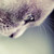 :iconhey28jef28: