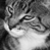 :iconheybertie: