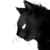 :iconheyfresco: