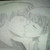 :iconheyitsbranden:
