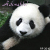 :iconheylookballoons: