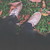 :iconheysunday: