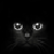 :iconhgdigitalart: