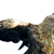 hgh1b-plz :iconhgh1b-plz: