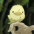 :iconhhiibarrii: