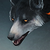 :iconhi-shiro: