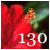 :iconhibiscus130: