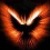:iconhidden-phoenix: