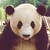 :iconhidden-secret94: