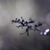 :iconhidden-worlds-await: