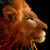 :iconhidden44: