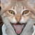 :iconhiddenaway: