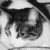 :iconhiddenbeauty: