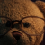 :iconhiddenfacade: