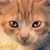 :iconhiddenforever0: