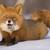 :iconhiddenhunterandkyran: