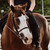 :iconhiddenriverstables: