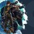 :iconhiddensunlight: