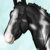 :iconhiddenvalleystables:
