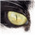 :iconhidesafetypindreams: