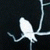:iconhidingraven: